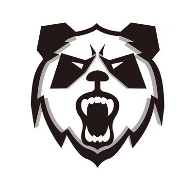 site-sports-panda.com favicon